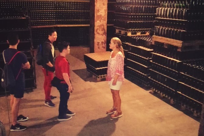 From Barcelona: E-Bike Tour in the Vineyards With 2 Wineries - Good To Know