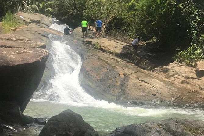 From Concrete Jungle to Actual Jungle: Private Puerto Rico Tour