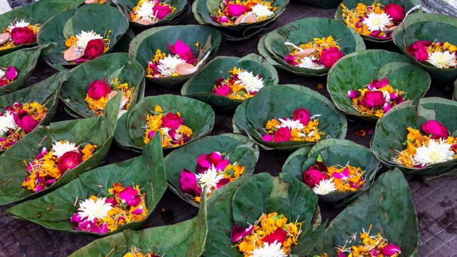 From Delhi: Private Day Tour to Haridwar and Rishikesh - Good To Know