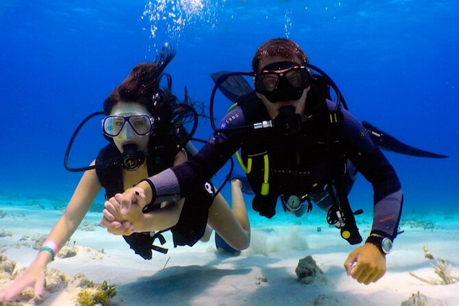 From Dubai: Discovery Scuba Diving Trip in Fujairah - Inclusions and Pricing Details