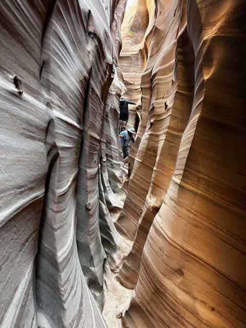 From Escalante: Zebra Slot Canyon Guided Tour and Hike