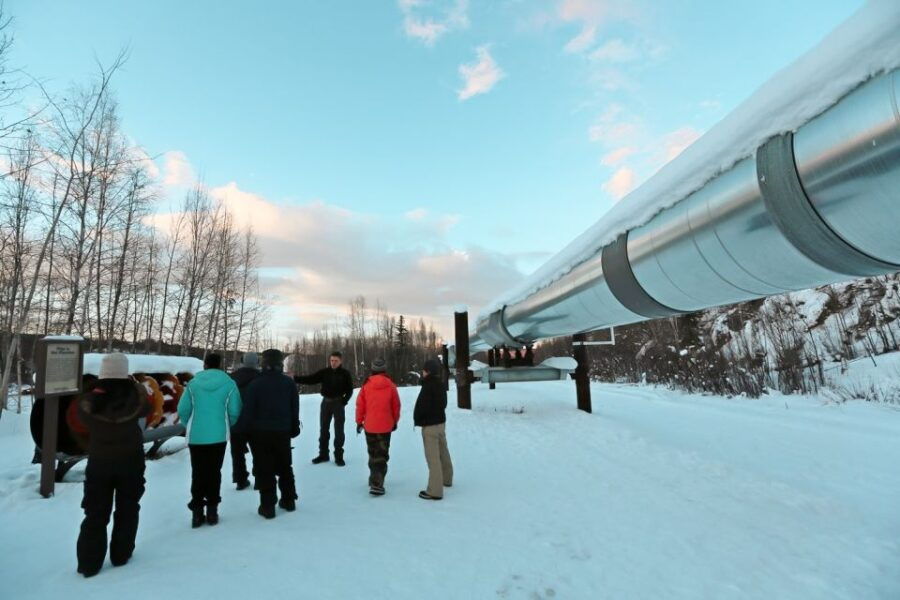 From Fairbanks: Arctic Circle Northern Lights Full-Day Trip - Good To Know