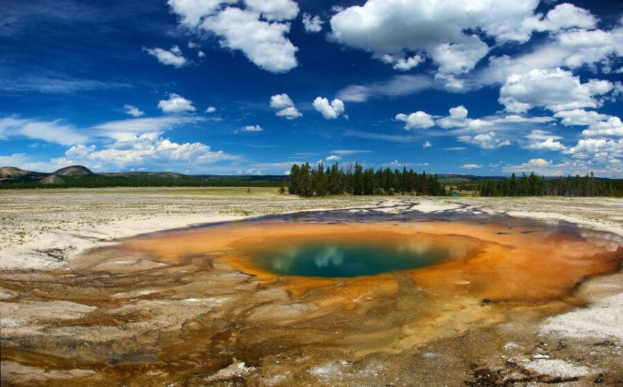 From Jackson: Yellowstone National Park Day Trip With Lunch - Good To Know