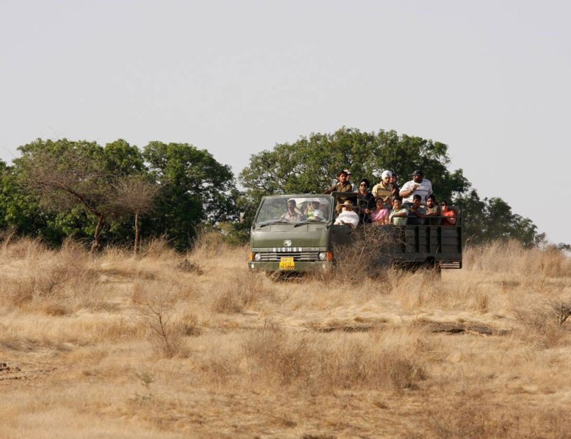 From Jaipur: Ranthambore Tour With Cab - Good To Know