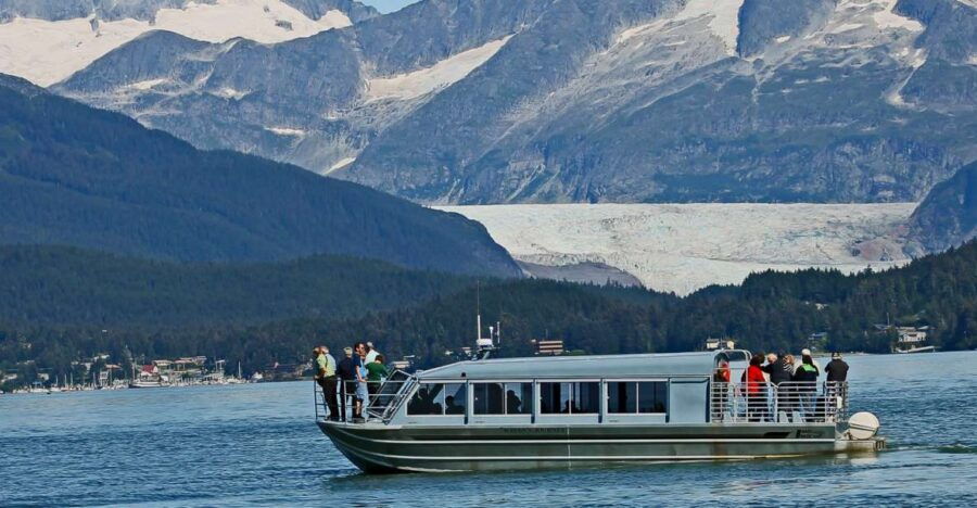 From Juneau: Whale Watching Cruise With Snacks - Good To Know