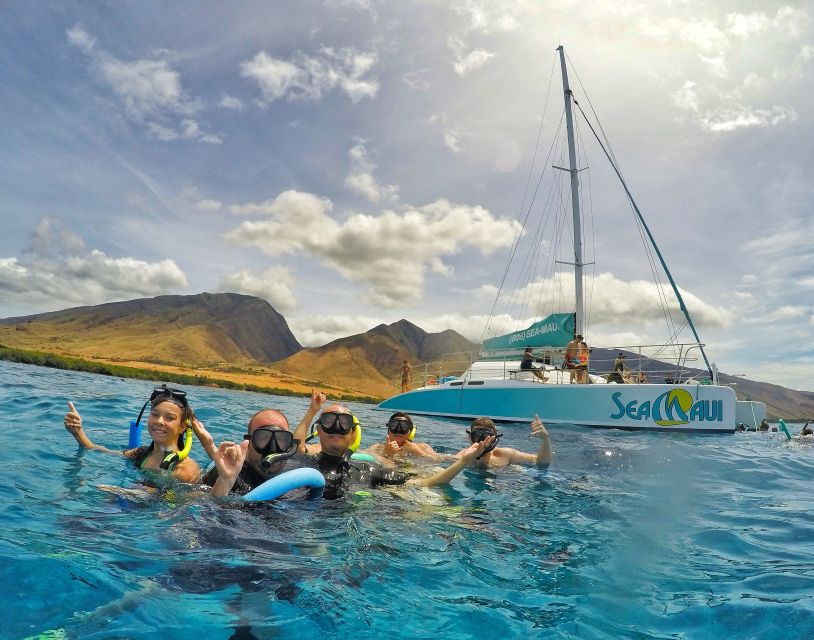 From Kaanapali: Afternoon West Maui Snorkeling & Sea Turtles