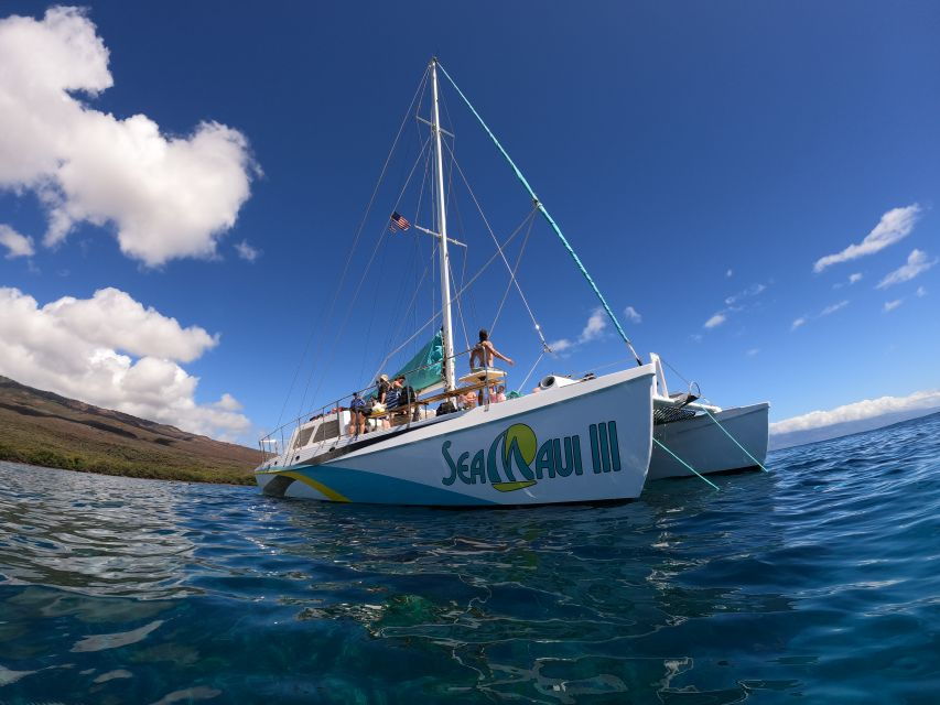 From Ka'anapali Beach: West Maui Half-Day Snorkel Adventure - Good To Know