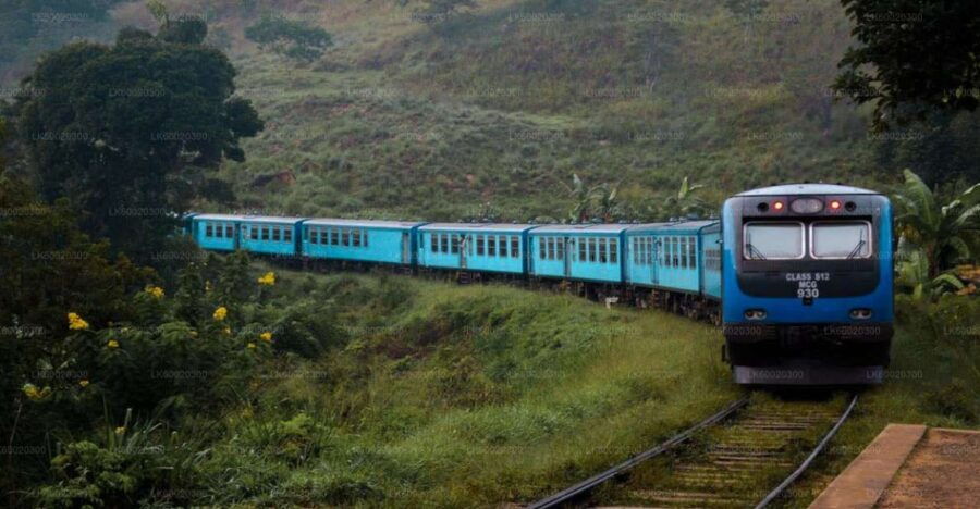 From Kandy: Nuwara Eliya by Train