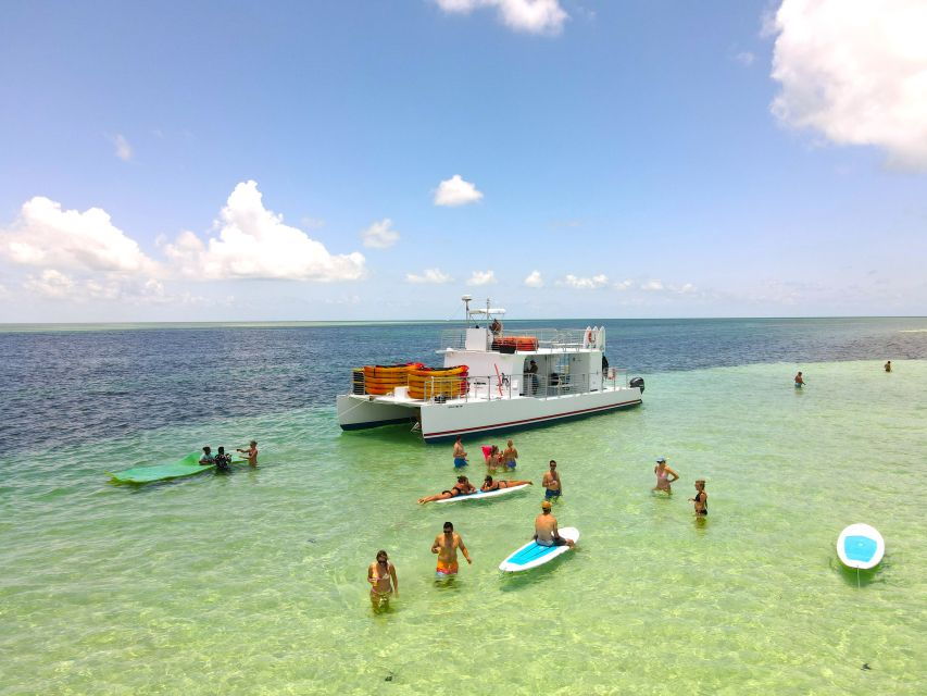 From Key West: Dolphin Watching Tour With Lunch & Drinks - Good To Know