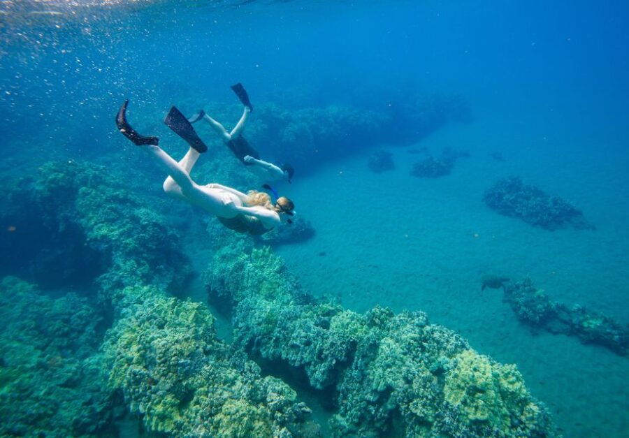 From Kihei: Boat Tour to Turtle Town With Snorkeling
