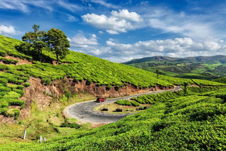 From Kochi: Munnar & Tea Museum Private Guided Tour - Good To Know