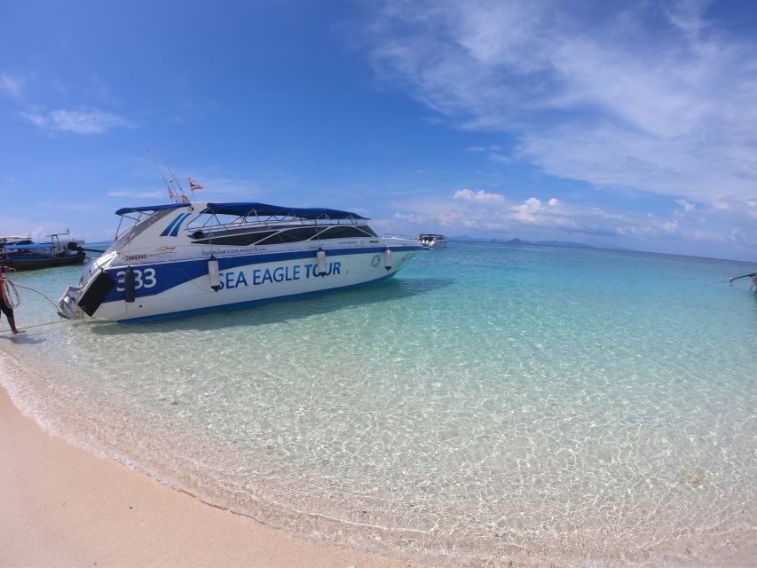 From Krabi: Phi Phi Islands Speedboat Day Tour - Good To Know