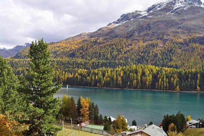 From Lake Como or Milan: Bernina Red Train Tour