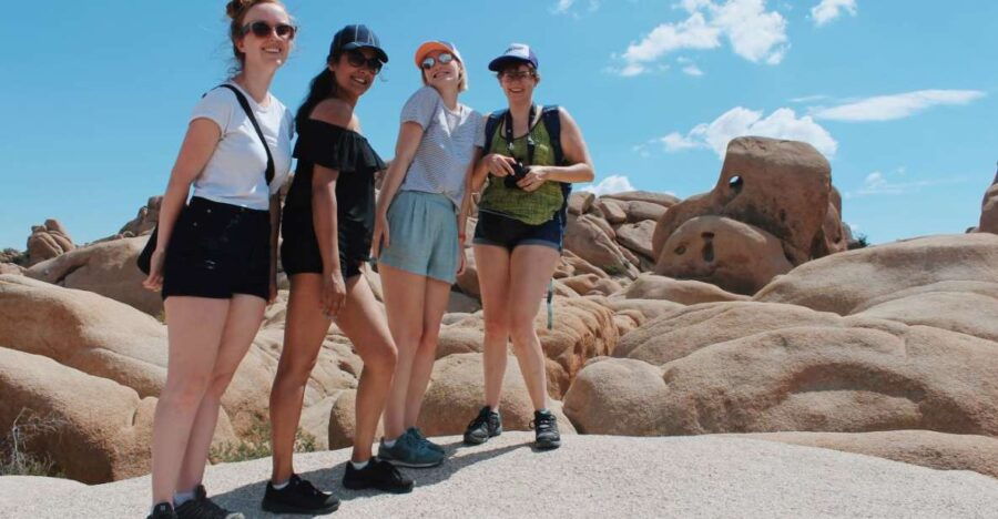 From Las Vegas: 4-Day Hiking and Camping in Joshua Tree - Good To Know