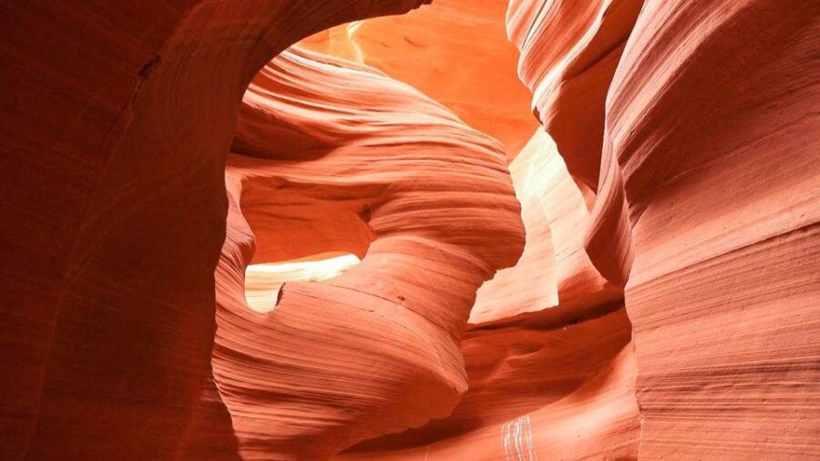 From Las Vegas: Antelope Canyon and Horseshoe Bend Tour - Good To Know