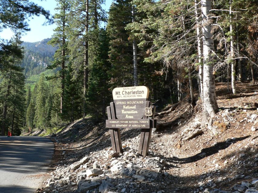 From Las Vegas: Day Trip to Mount Charleston Resort - Good To Know