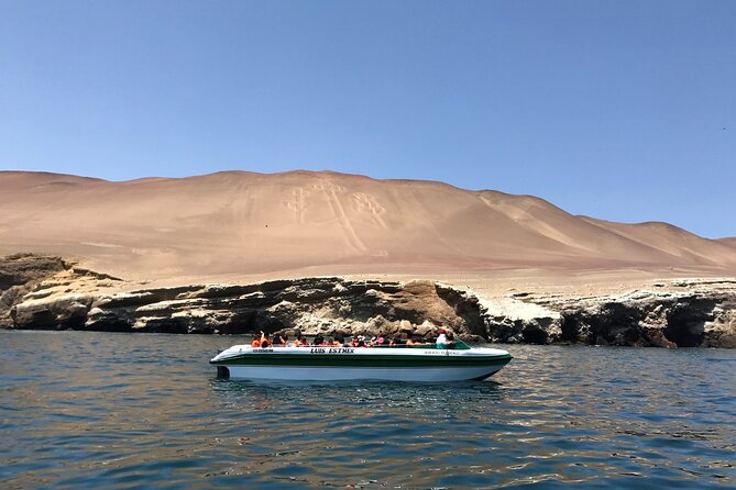 From Lima : Huacachina Oasis Paracas Day Trip ALL INCLUDED - Pricing and Value