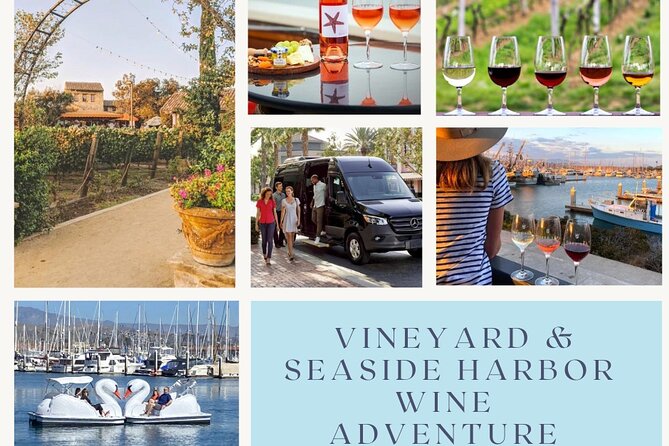 From Los Angeles: Vineyard & Coastal Wine Tasting Tour