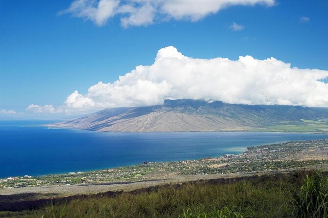 From Maalaea Harbor: Whale Watching Tours Aboard the Quicksilver - Good To Know