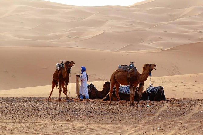 From Marrakech 3 Days 2 Nights Desert Trip to Merzouga Dunes - Trip Overview