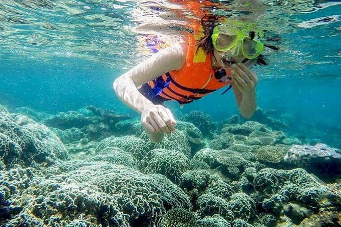 From Mui Ne To Vinh Hy Bay Snorkeling And Fishing Tour Day Trip - Good To Know