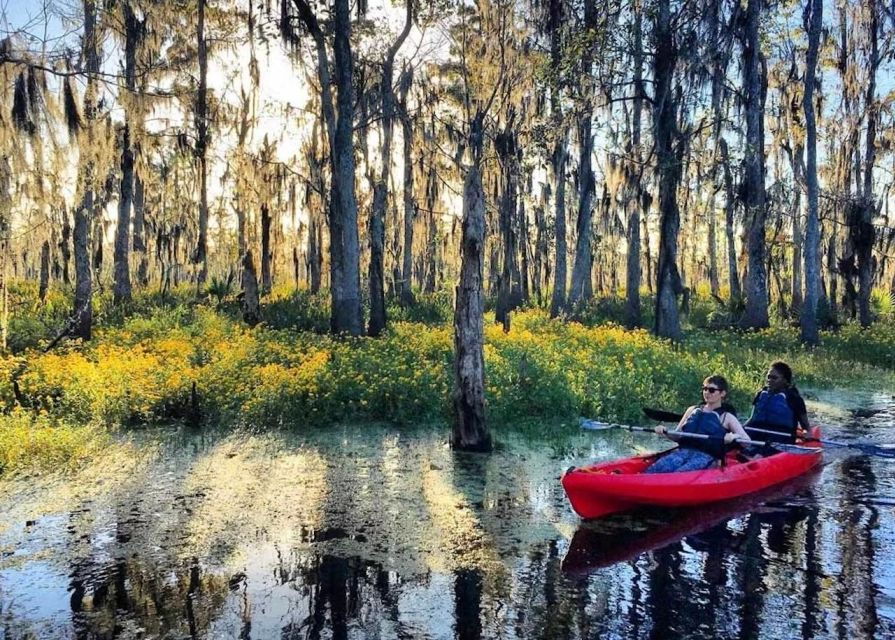 From New Orleans: Whitney Plantation & Kayak Tour Combo - Good To Know
