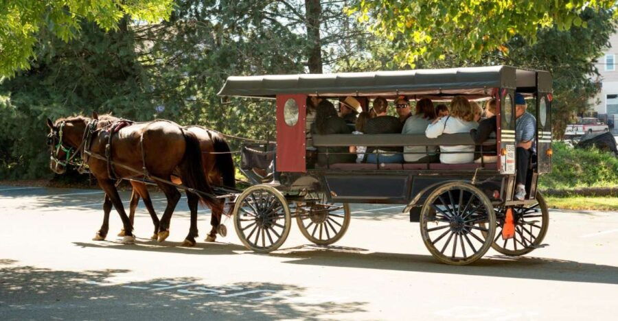 From New York City: Philadelphia and Amish Country Day Trip - Activity Details