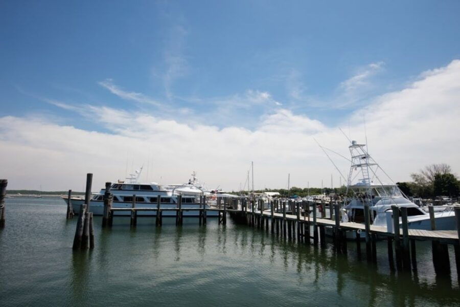 From NYC: Hamptons, Sag Harbor, and Outlet Shopping Day Trip - Good To Know