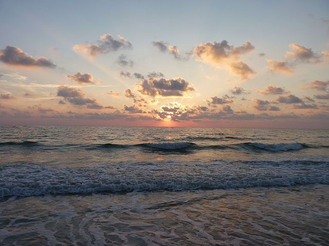 From Orlando: Day Trip to Clearwater With Deep Sea Fishing - Additional Information for Clearwater Beach Trip