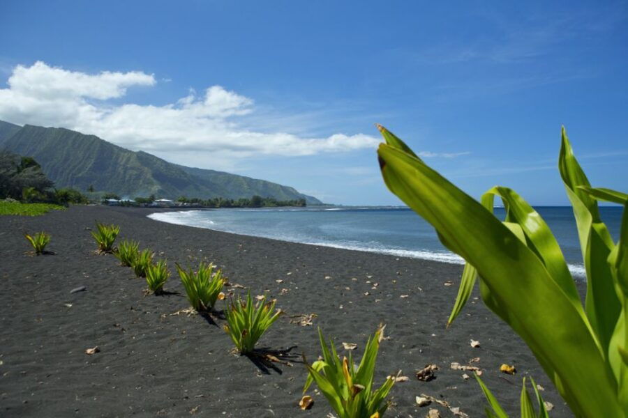From Papeete: Tahiti Highlights Full-Day Private Tour - Good To Know