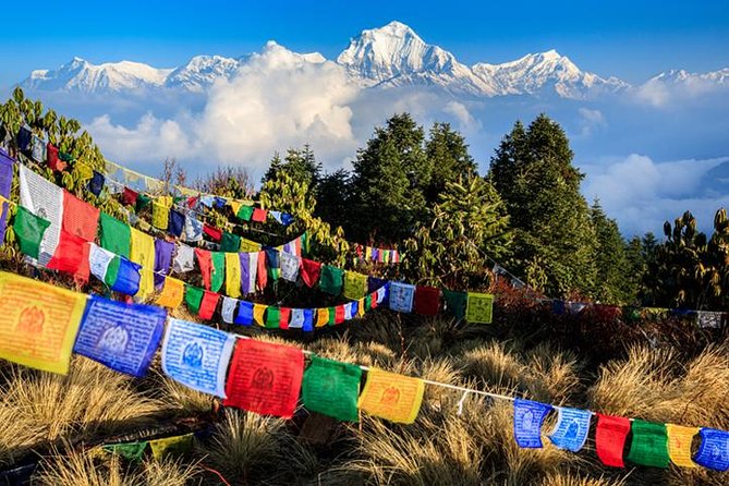 From Pokhara: Ghorepani Poon Hill Ghandruk Trek - 4 Days - Good To Know