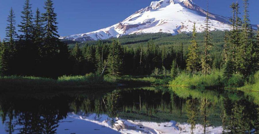 From Portland: Columbia Gorge Waterfalls and Mt. Hood Tour