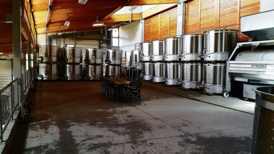From Portland: Willamette Valley Full-Day Wine Tour - Good To Know