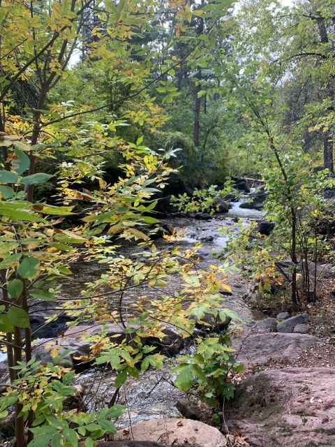 From Rapid City: Private Spearfish Canyon Tour - Good To Know