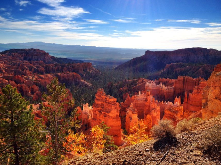 From Salt Lake City: Yellowstone and Tetons Parks in 4 Days - Good To Know