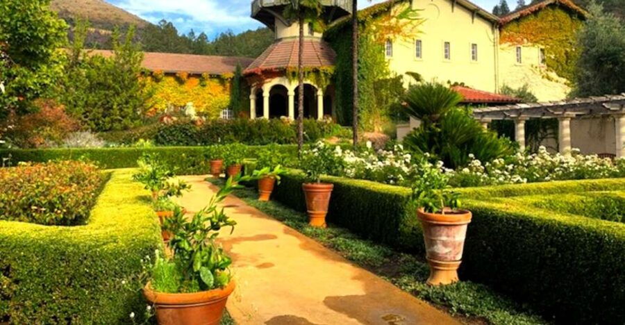 From San Francisco: Private Muir Woods and Napa Wine Tour