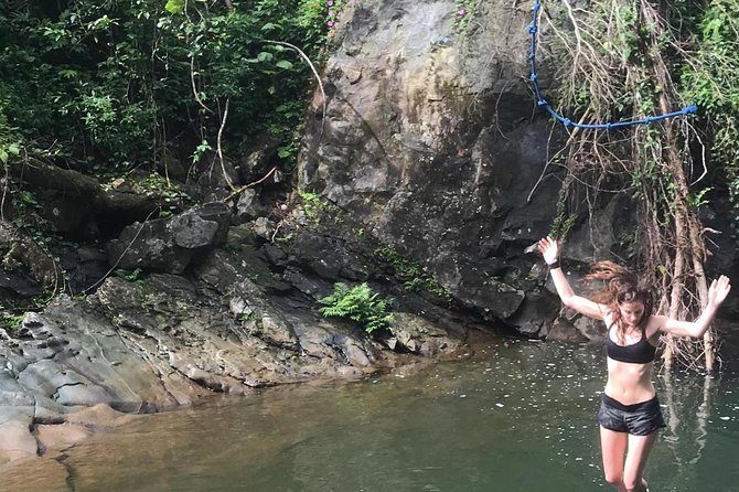 From San Juan: El Yunque Rainforest Hiking Adventure - Positive Feedback on the Tour Guides