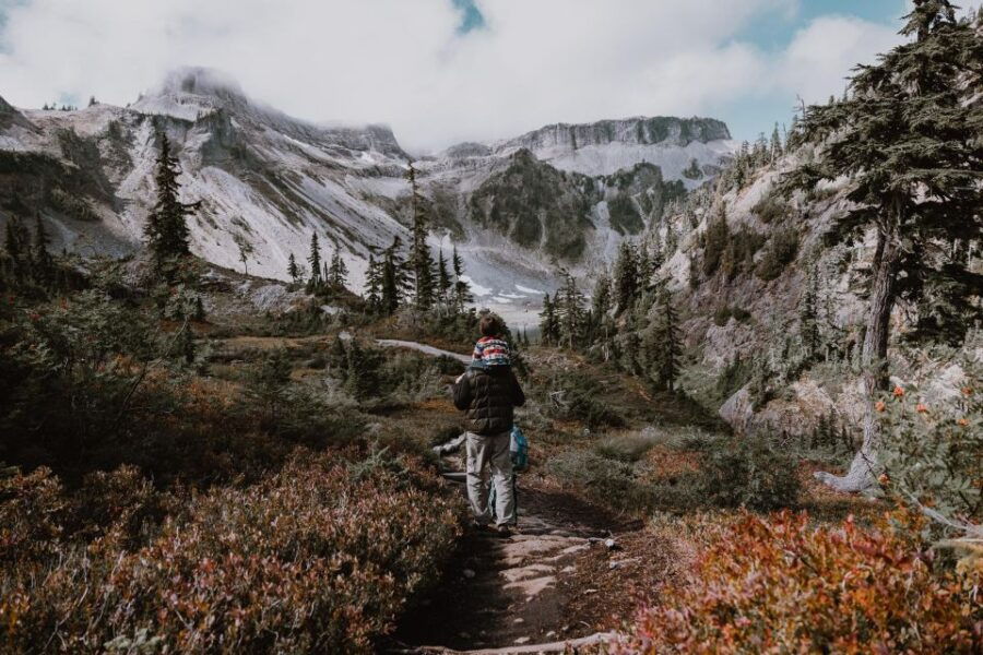 From Seattle - Enchanting Mt Baker & Cascade Mountains Tours - Good To Know