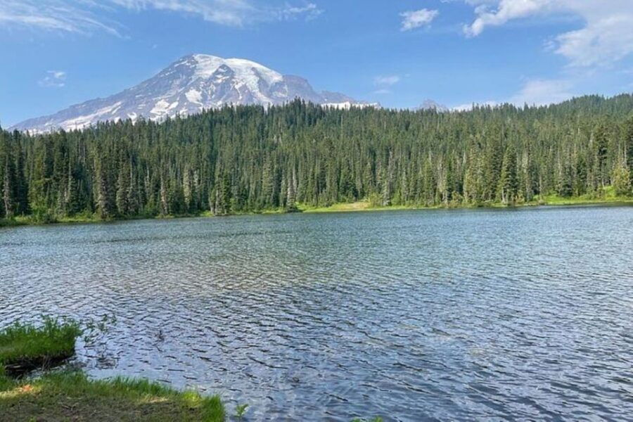 From Seattle:Full-Day Mt Rainier National Park Private Tour