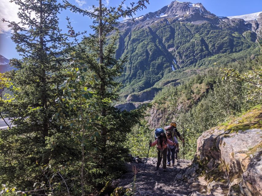 From Seward: 4-hour Wilderness Hiking Tour - Good To Know