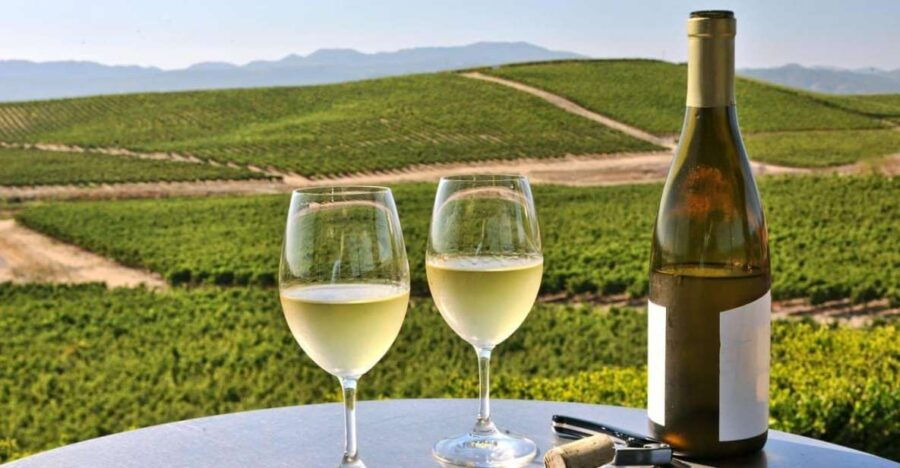 From SFO - Enchanted Napa & Sonoma Wine Tour in SUV - Good To Know