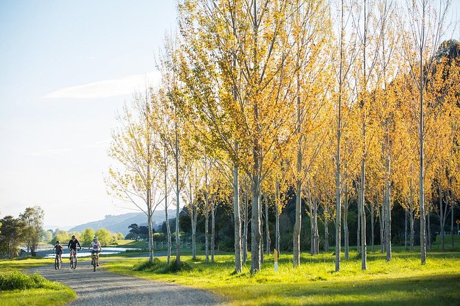 From Source to Sea Mountain Bike Remutaka Cycle Tour