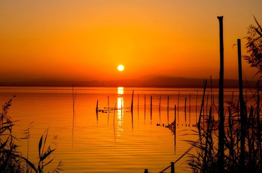 From Valencia: Albufera Natural Park With Sunset Experience - Good To Know