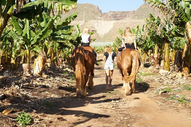 Fruit Farm Horse Riding