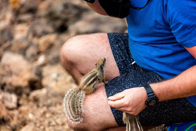 2 Best Safari Tours in Puerto Del Rosario