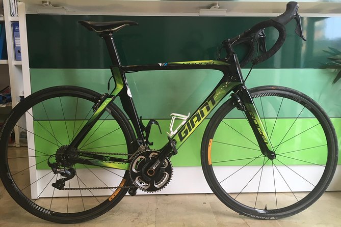 Full Carbon Road Bike Rental