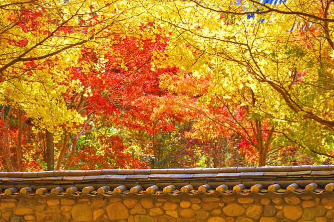 Full-Day Autumn Tour From Busan to Unmunsa Bhikkhuni Temple