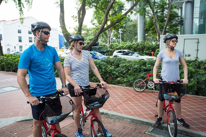 Full-Day Bike and Food Tour of Singapore
