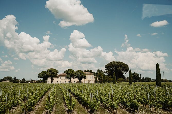 Full-Day Bordeaux Wine Experience With Lunch and Tastings