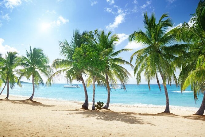 Full-Day Catalina Island Snorkeling Tour From La Romana
